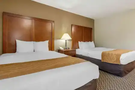Comfort Inn South - 5