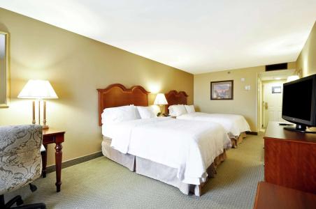 Hampton Inn Charleston-Historic District - 4