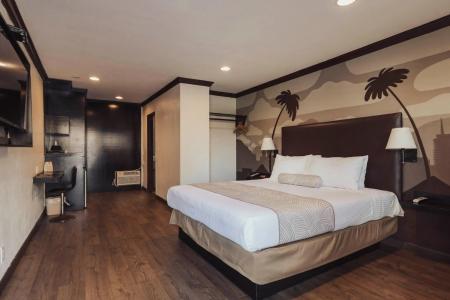 The Dixie Hollywood - 1