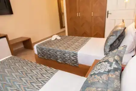 Portakal Dalyan - 100