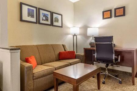 Comfort Suites Walnut Creek - 49