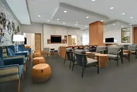 Holiday Inn Express - Houston - Galleria Area, An Ihg - 22