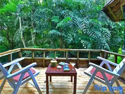 Sunset Park Resort And Spa - Sha Plus - 117