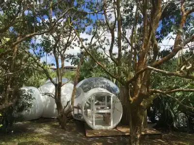 Bubble Bois Chéri - 5
