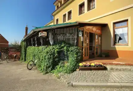 Záviš z Falkenštejna - 39