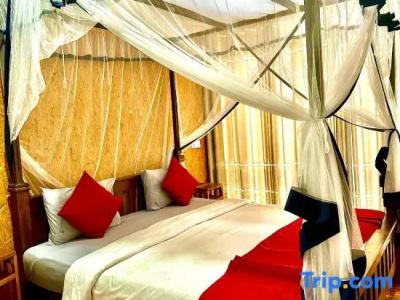 The Ella Nature Life Guest Inn - 36