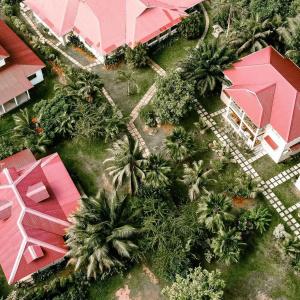 Villa Rafia - 41