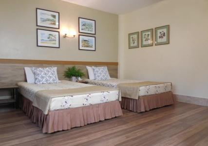 Holiday Village And Natural Garden - 5