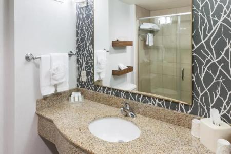 Hilton Garden Inn Austin North - 33