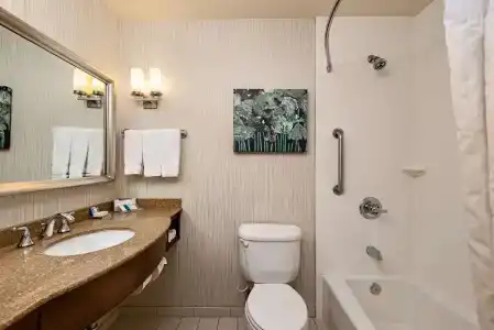 Hilton Garden Inn - 8