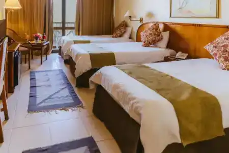 Basma Aswan - 36