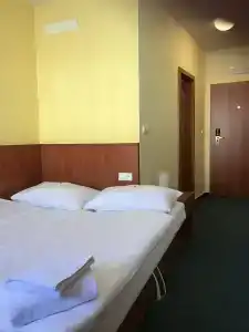 Záviš z Falkenštejna - 23