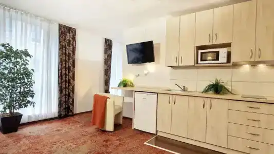 Vivulskio Apart-Hotel - 84