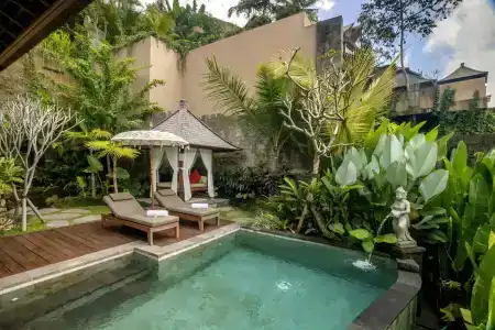 The Kayon Jungle Resort - 42
