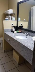 Quality Inn & Suites University Area - 28