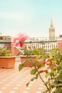 Alabardero - 14