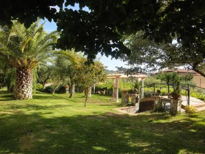 Residence e B&B Villamirella - 24