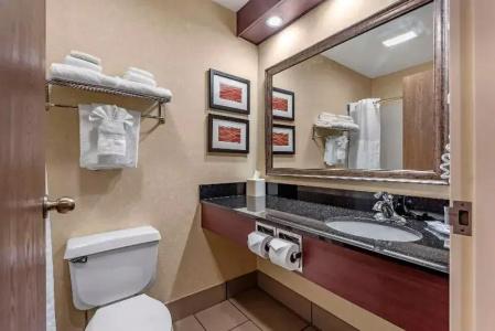Comfort Inn Civic Center - 50