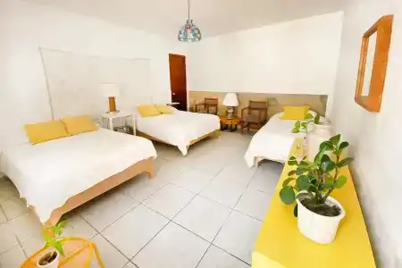 Casa Canario - 29