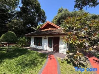 Mango T. Villa Chiangmai - 85