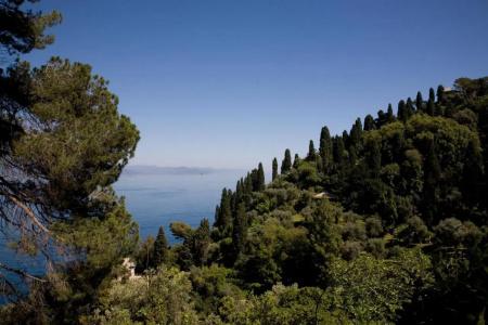 Piccolo Portofino - 11