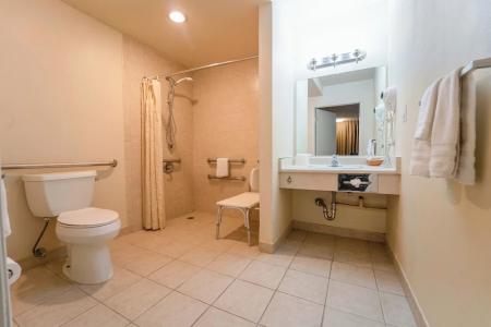 Royal Plaza Inn - 83