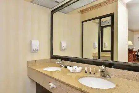 Best Western Plus Raffles Inn & Suites - 28
