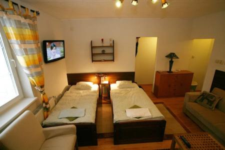 Apart Villas Ivica - 168