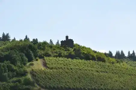 Schroeders Wein-Style-Hotel - 5