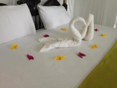 Saman Resort Yala - 57