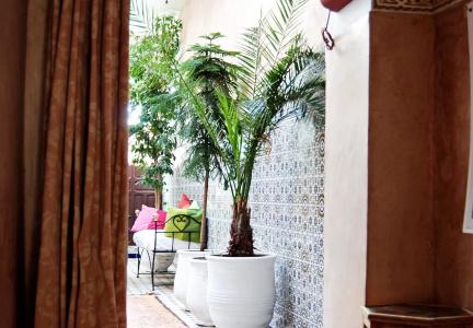 Riad Les Oliviers & Spa - 26