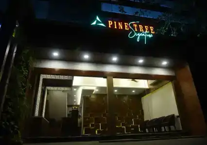 Pine Tree Signature - 0