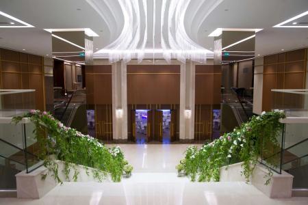 Radisson Blu, Kayseri - 8