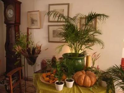 B&B Caza Sereyna - 11