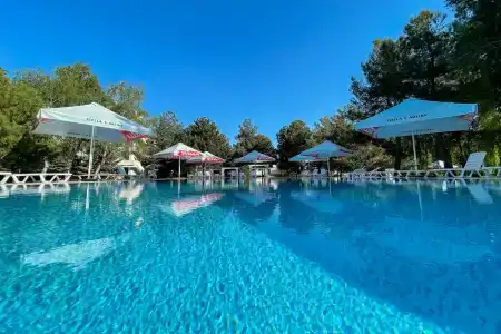 Мечта - 19