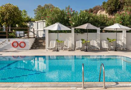 Ampelia Studios - 12