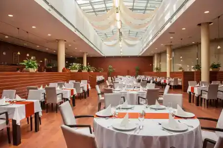 Lycium Debrecen - 20