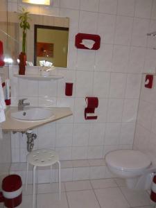 Jfm löRrach Bei Basel - 7