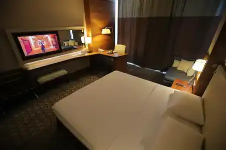 Anemon Samsun - 47