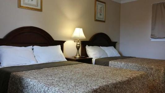 Falcon Inn - 116