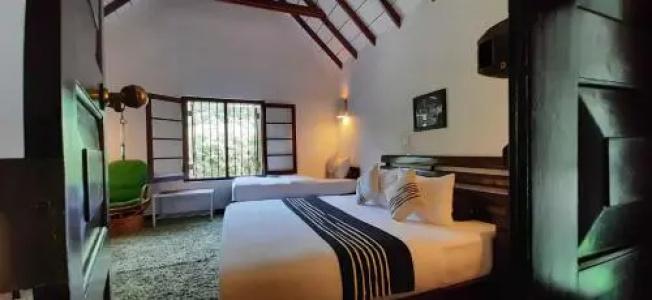 Oasis Bungalow - Nuwara Eliya - 2
