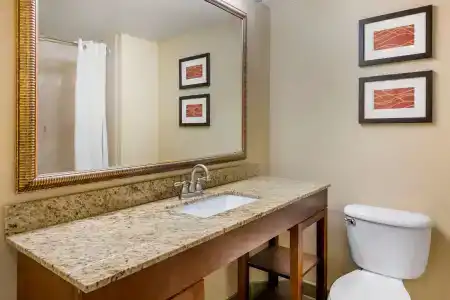 Comfort Inn International Drive - 42