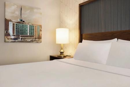 The American Atlanta Downtown-a Doubletree by Hilton - 81