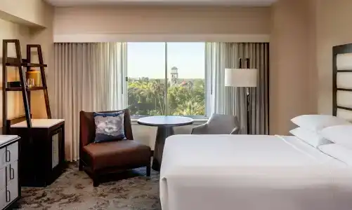 Hyatt Regency - 47