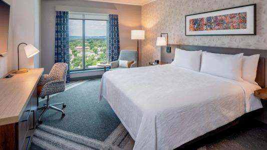 Hilton Garden Inn Austin University Capitol District, Tx - 55