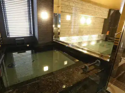 Apa Hiroshima-Ekimae Ohashi - 18