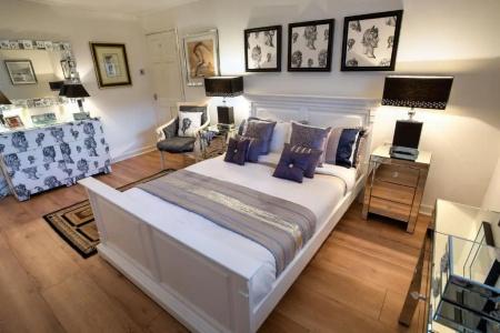 The Ascott - 66
