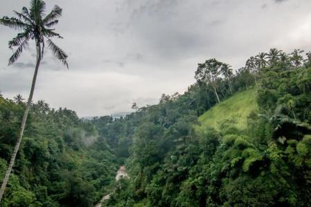 Ulun Ubud Resort - 73