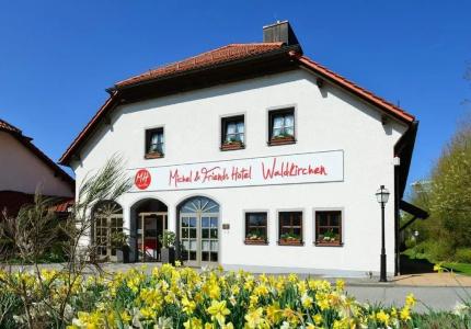 Michel & Friends Waldkirchen - 33