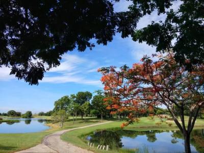Uniland Golf & - 19